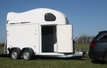 Van Gold One White Line Cheval Liberté