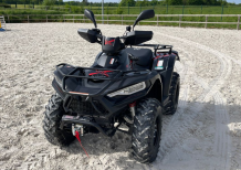 Van Gold One White Line Cheval Liberté