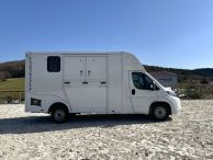 Van Gold Junior Cheval Liberté Pack Premium